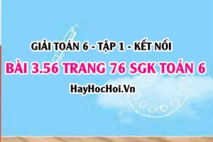 Giải bài 3.56 trang 76 Toán 6 Tập 1 SGK Kết nối tri thức